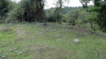 Soosa trikuharria, Andia