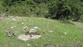 Bordas de Zaborrate etxola hondoa, Lezaun