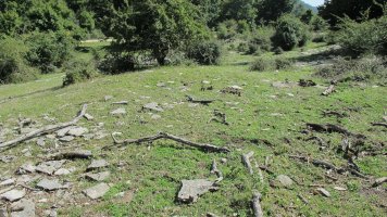 Bordas de Zaborrate etxola hondoa, Lezaun