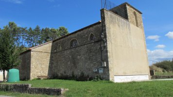 Asuncion eliza, Artaxo-Longida