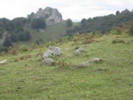 Cista Abilleta  (Septiembre  2015)