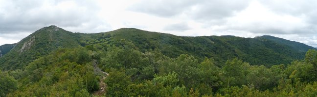 Kodes mendilerroa Cogollatik