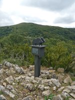 Cogollako txartelontzia