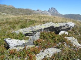corona de los faballones