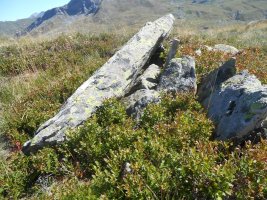 corona de los faballones