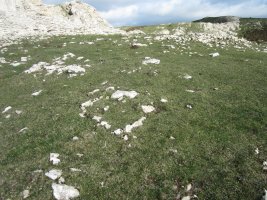 Túmulo Anular Elortxiki