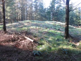 Túmulo Tranpaluarri   (Noviembre 2015)