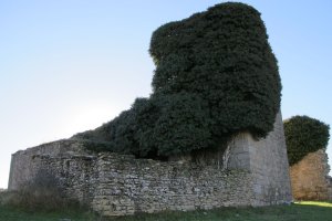 San Martin eliza, Mugeta-Longida