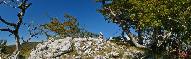 Beorkolarreko gailurra