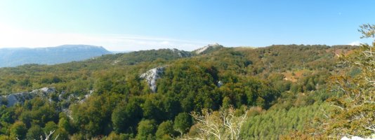 Olano mendia urrunean, Beorkolarretik 