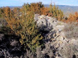 Santa Krutz ermitaren honakinak, Ozcoidi-Urraulgoiti