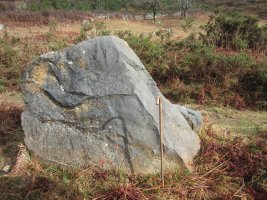 Menhir Belarregi  (Febrero 2016)