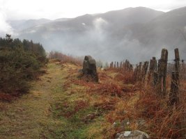 Menhir Belarregi  (Febrero 2016)