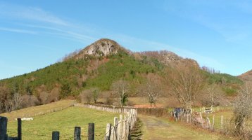 Lizarnabarra Zumalekuko lepotik