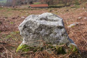 Malete zutarria, Bera