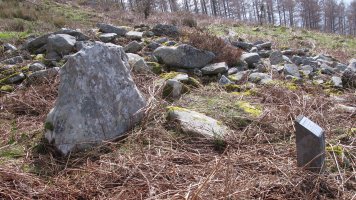 Malete zutarria, Bera