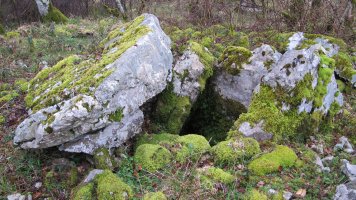 Milaldapa trikuharria, Oderitz-Larraun