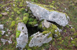 Milaldapa trikuharria, Oderitz-Larraun