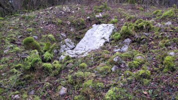 Azolape trikuharria, Oderitz-Larraun