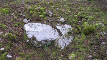 Azolape trikuharria, Oderitz-Larraun