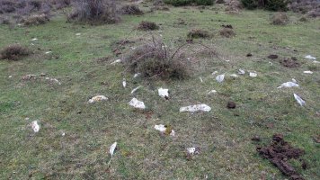 Arizdia 2 tumulua, Azantza-Goñi