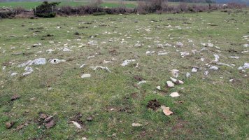 Arizdia 5 tumulua, Azantza-Goñi