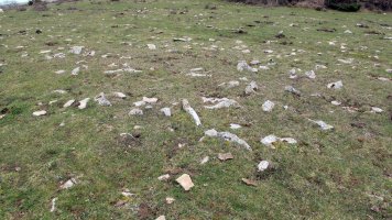 Arizdia 5 tumulua, Azantza-Goñi