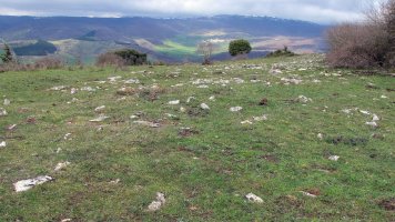 Balsa Illarradi 3 tumulua, Azantza-Goñi