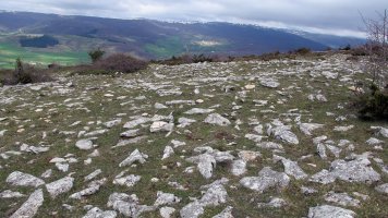 Balsa Illarradi 2 eraztun-tumulua, Azantza-Goñi
