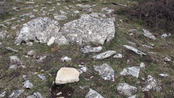 Korostegi trikuharria, Azantza Goñi