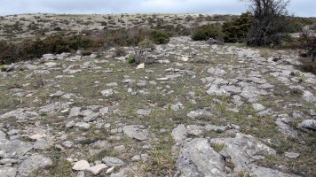 Mugartxondoa tumulua, Egilor-Ollo