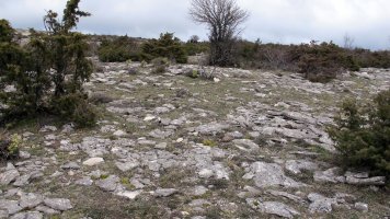 Mugartxondoa tumulua, Egilor-Ollo