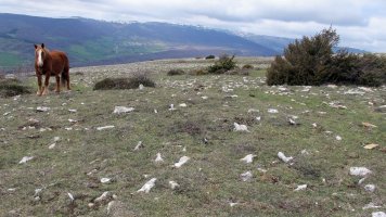 Balsa Illarradi 2 tumulua, Azantza-Goñi