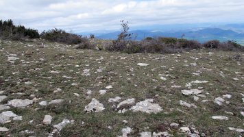 Mortxe 3 eraztun-tumulua, Egilor-Ollo