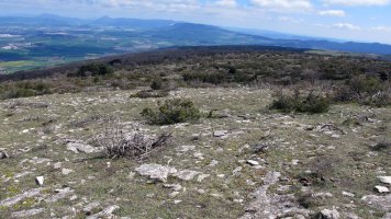 Mortxe 6 eraztun-tumulua, Egilor-Ollo