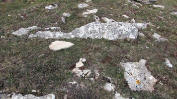 Mortxe trikuharria, Egilor-Ollo