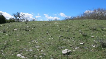 Obiarri eraztun-tumulua, Azantza-Goñi