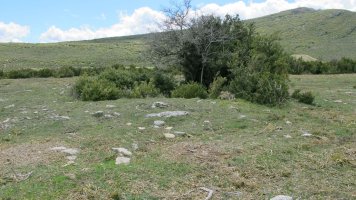 Arpide trikuharria, Etxauri