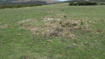 Arpide 2 tumulua, Etxauri