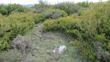 Majada Sarbil hego 2 tumulua, Etxauri