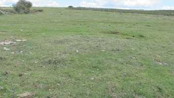 Borda del Mesón 4 tumulua, Etxauri