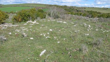 Sarbilzelai tumulua, Azantza-Goñi