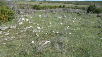 Sarbilzelai tumulua, Azantza-Goñi