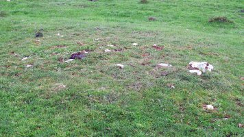 Alto de Irurbe 3 ekialde tumulua, Ultzurrun-Ollo