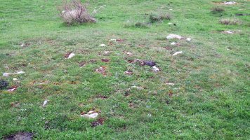 Alto de Irurbe 3 ekialde tumulua, Ultzurrun-Ollo