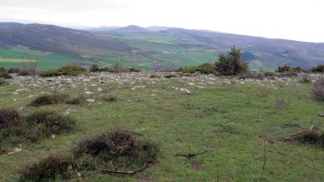 Balsa Illarradi 4 eraztun-tumulua, Azantza-Goñi