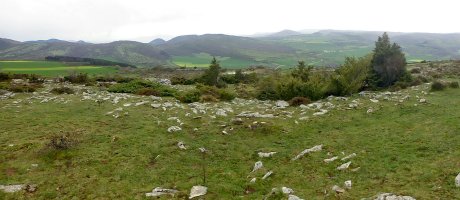 Balsa Illarradi 3 eraztun-tumulua, Azantza-Goñi