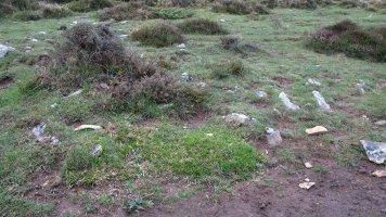 Arizdia 4 tumulua, Azantza-Goñi