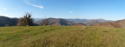 Zurgaietako gailurra