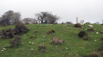 Larriluzea 1 trikuharria, Urkabustaiz